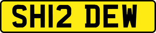 SH12DEW