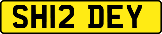 SH12DEY
