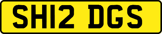 SH12DGS