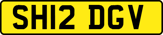 SH12DGV