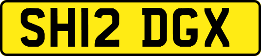 SH12DGX