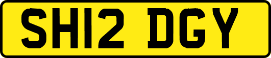 SH12DGY