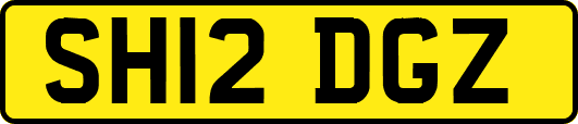 SH12DGZ