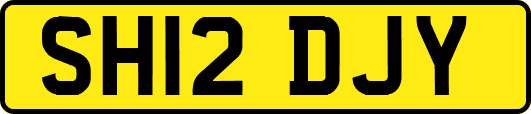 SH12DJY