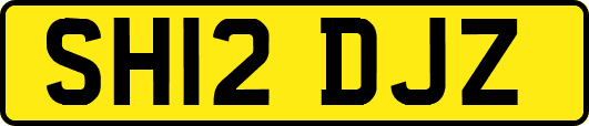 SH12DJZ