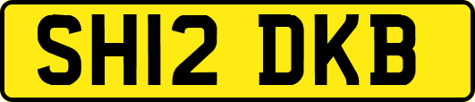 SH12DKB
