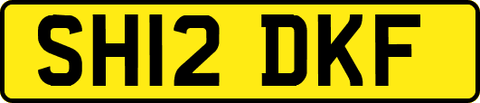 SH12DKF