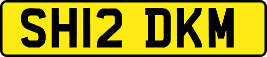 SH12DKM