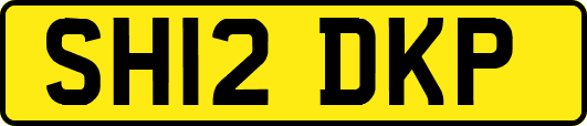 SH12DKP