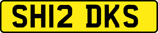 SH12DKS