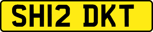 SH12DKT