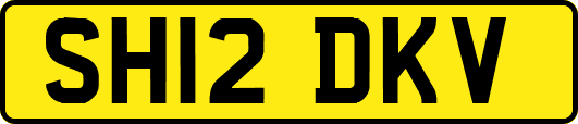 SH12DKV