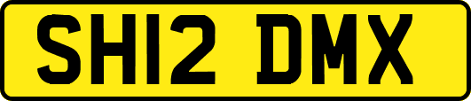 SH12DMX