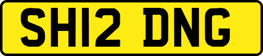 SH12DNG