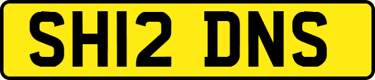 SH12DNS