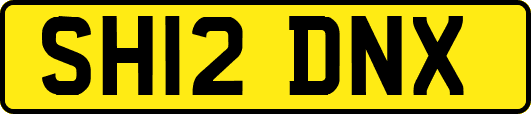 SH12DNX