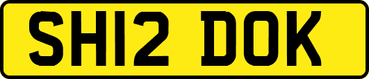 SH12DOK