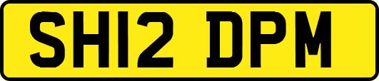 SH12DPM