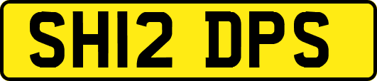 SH12DPS