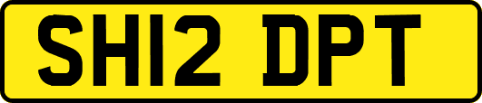 SH12DPT