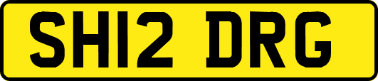 SH12DRG