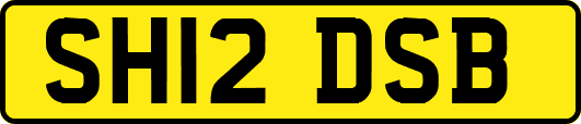 SH12DSB