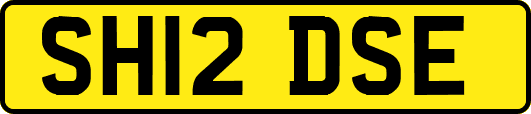 SH12DSE