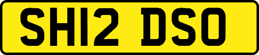 SH12DSO
