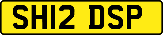SH12DSP