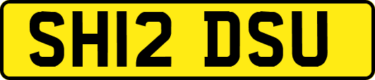 SH12DSU