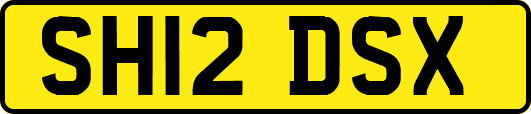 SH12DSX