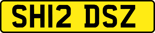 SH12DSZ