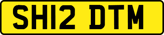 SH12DTM
