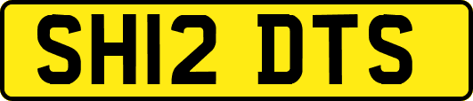 SH12DTS