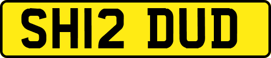 SH12DUD