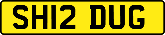 SH12DUG