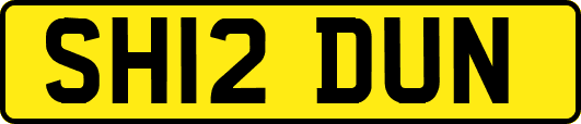 SH12DUN