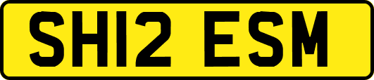 SH12ESM