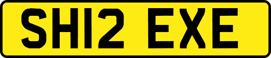 SH12EXE