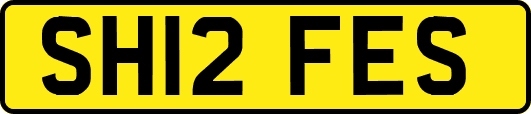 SH12FES