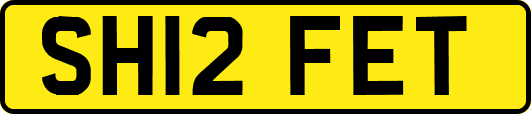 SH12FET