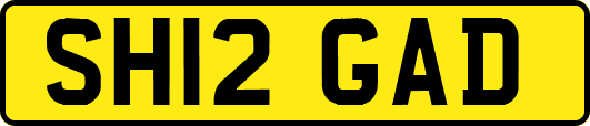SH12GAD