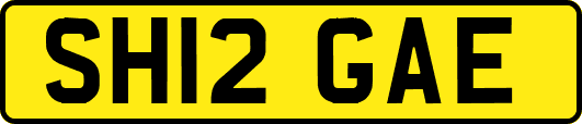 SH12GAE