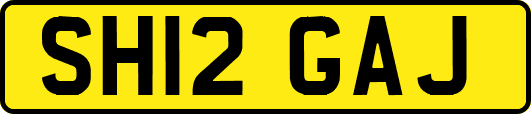 SH12GAJ