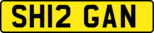 SH12GAN