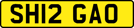 SH12GAO