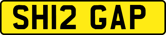 SH12GAP
