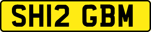 SH12GBM