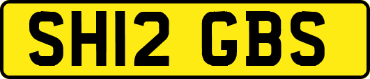 SH12GBS