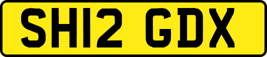 SH12GDX
